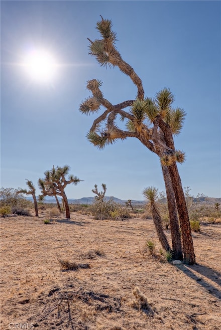107 Juniper Rd, Joshua Tree, CA 92252