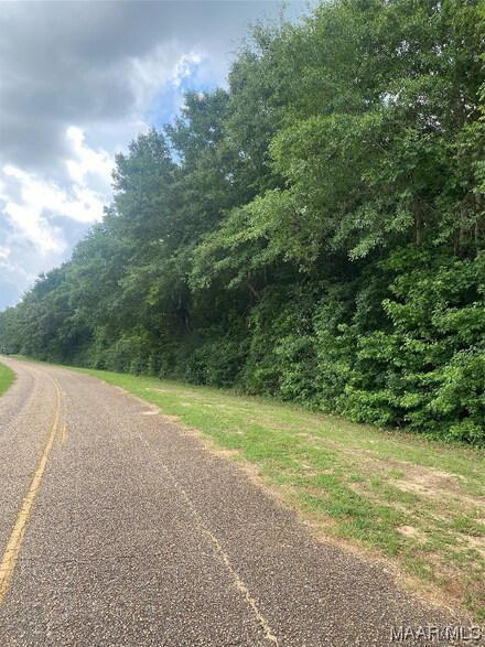 86 County Road 1159, Troy, AL 36079