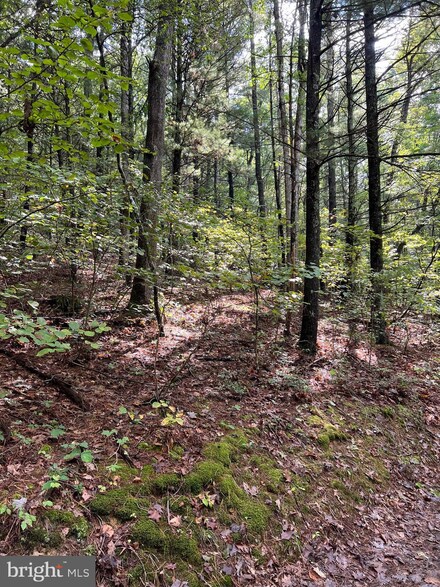 0 Somers Ln, Berkeley Springs, WV 25411