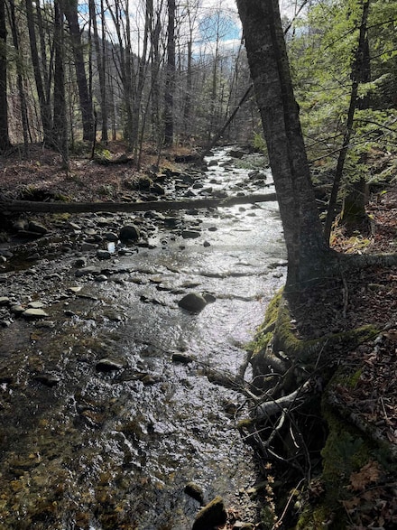 1720 Auger Hole Rd, Marlboro, VT 05344