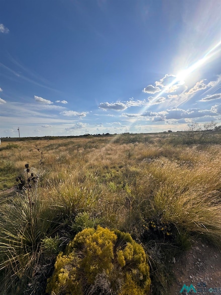 1783 Moreland Rd, Portales, NM 88130