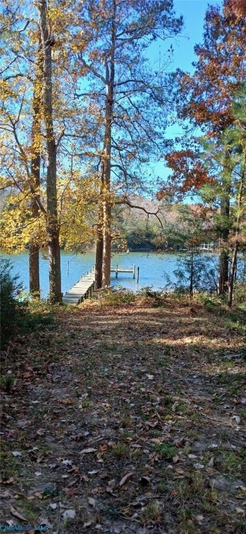 Lot 3 Blakes Cove, Topping, VA 23169