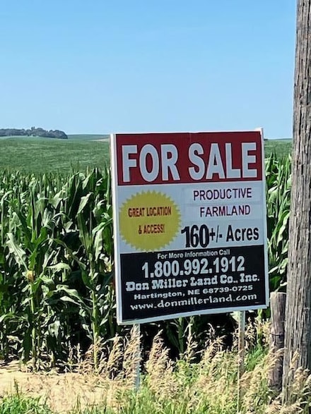 557 867 Rd, Randolph, NE 68771
