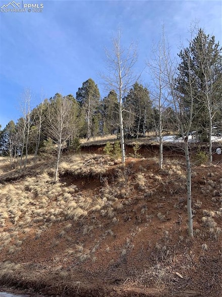 490 Willow Rd 80814
