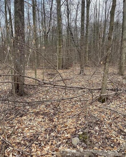 2727 Hedgerow Ln Unit 66, Stroud Township, PA 18360