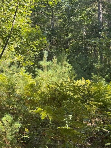 R-3 p/o 7C Old Dresden Rd, Wiscasset, ME 04578