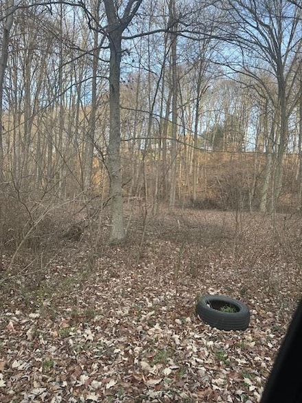 0 Lemaster Rd Unit 225000087, Athens, OH 45701