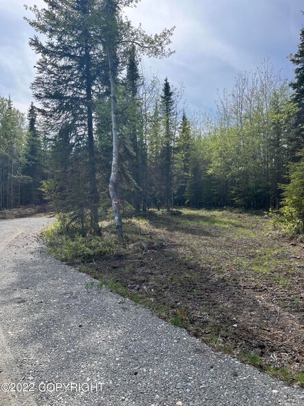 L1 Tri Rd, Kasilof, AK 99610