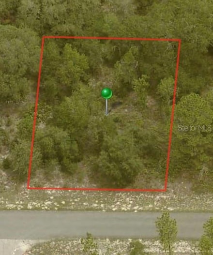 2725 W Fillmore St, Dunnellon, FL 34433