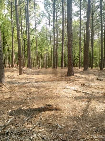 Lot #63 Harbor Point Rd, Seneca, SC 29672