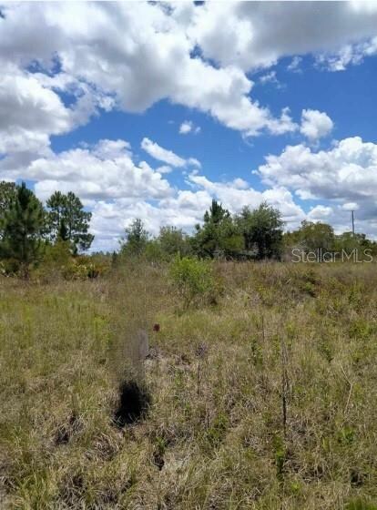 1264 S Mccoy Rd, Avon Park, FL 33825