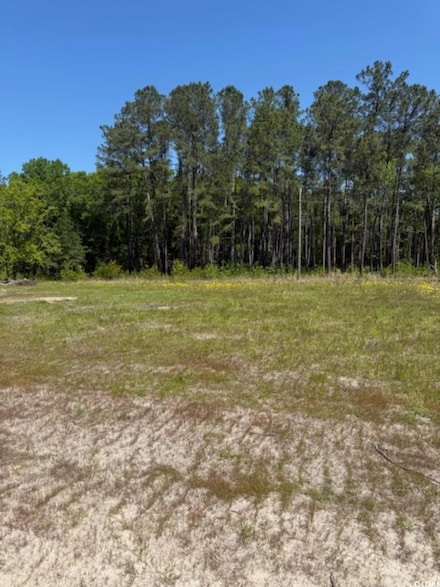 TBD Johnson Rd, Georgetown, SC 29440