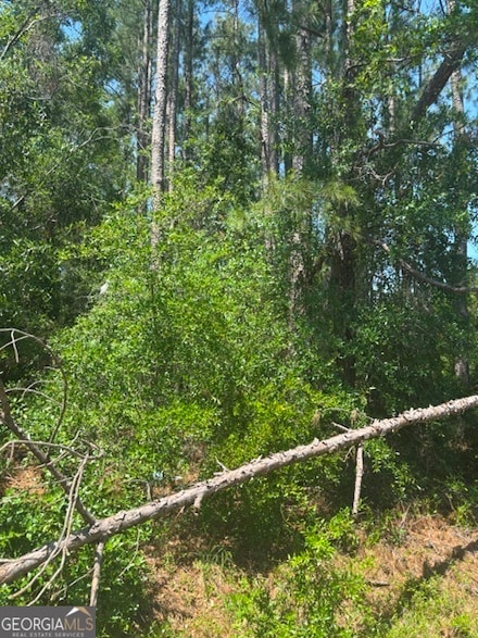 0 Stoney Brook Way Unit 10523300, Reidsville, GA 30453