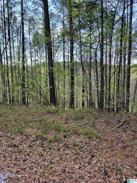 0 Lake Geneva Dr Unit 22 21402261, Wedowee, AL 36278