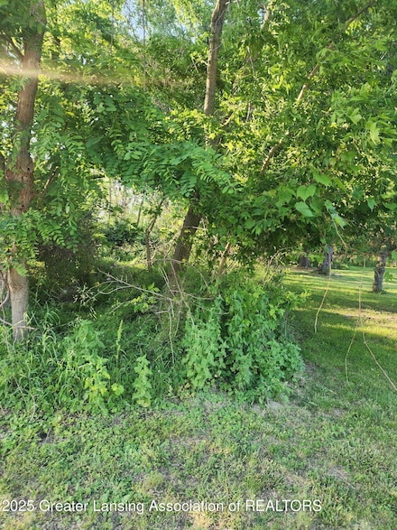 0 V/L W Sheridan Rd, Lansing, MI 48906