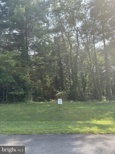 12 Wilson Point Rd, Galena, MD 21635