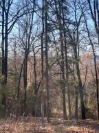00000 Crow Mountain Dr, Atkins, AR 72823