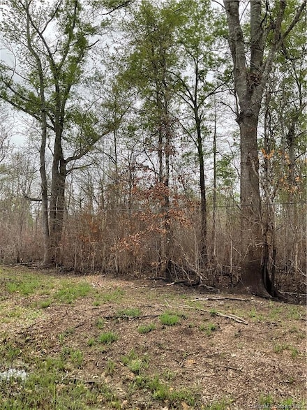 0 John King Rd Unit SWL24005992, Ragley, LA 70657