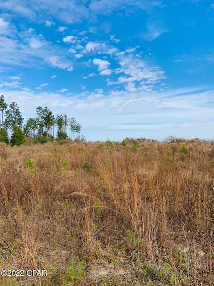 0002 Glenmore Ct, Marianna, FL 32446