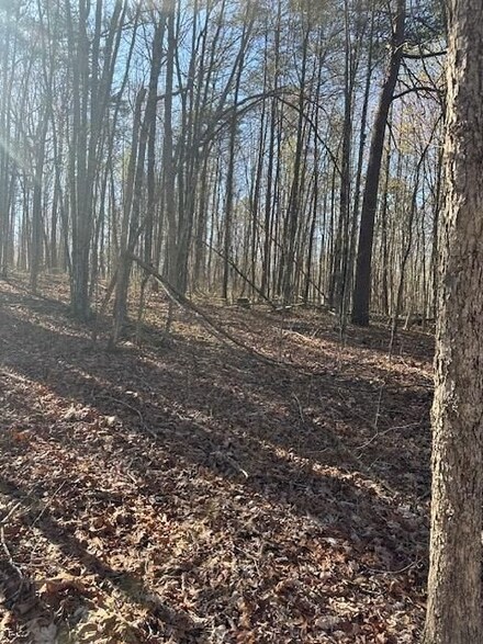 0 Hood Ln Unit 22915588, Wilder, TN 38589