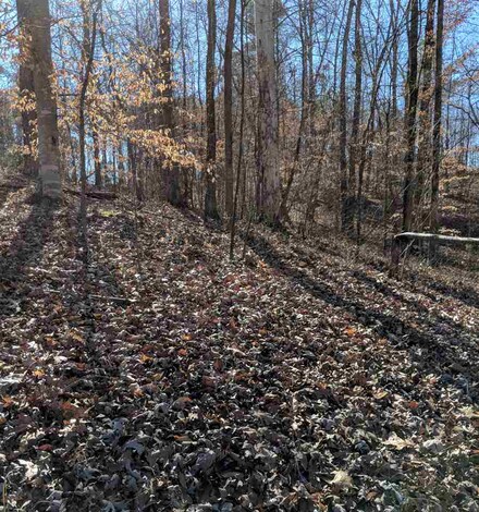 17 County Road 345, Iuka, MS 38852