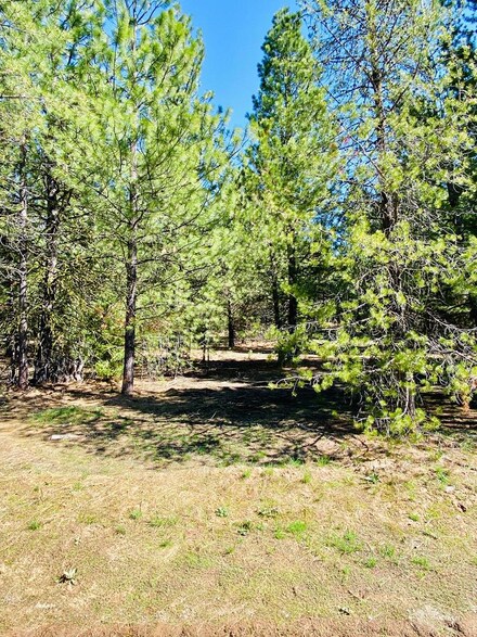Lot 11 Dakota Way Unit 11, Cascade, ID 83611