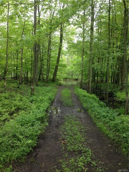 V/L Brown Rd, Conewango Valley, NY 14726