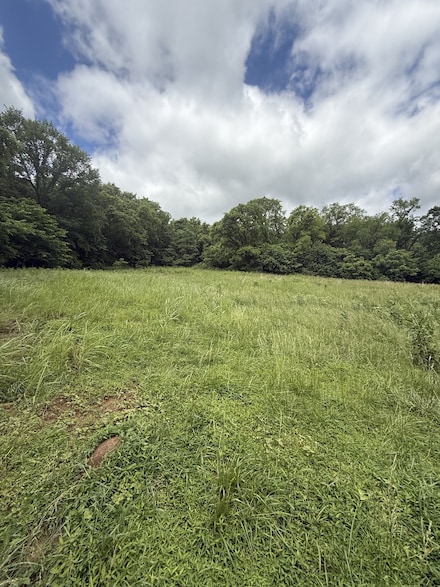 1190 Patton Hollow Rd, Watertown, TN 37184