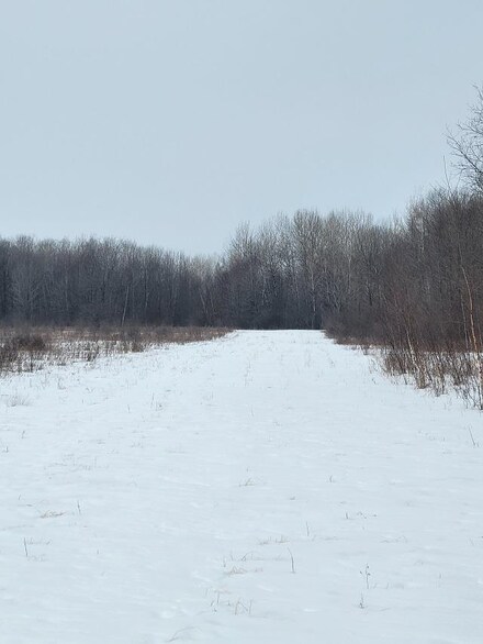 000 County Rd N, Arpin, WI 54410