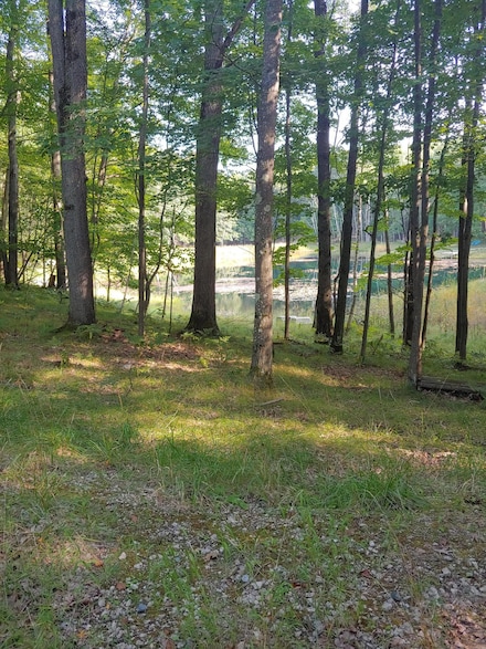 1631 Laurel Ln, Lincoln Township, MI 48622