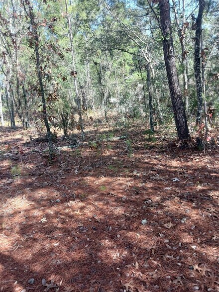 LOT 11 Lake Lucy Cir, Interlachen, FL 32148