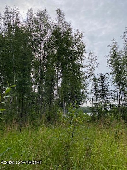 3846 N White Knight Dr, Wasilla, AK 99654