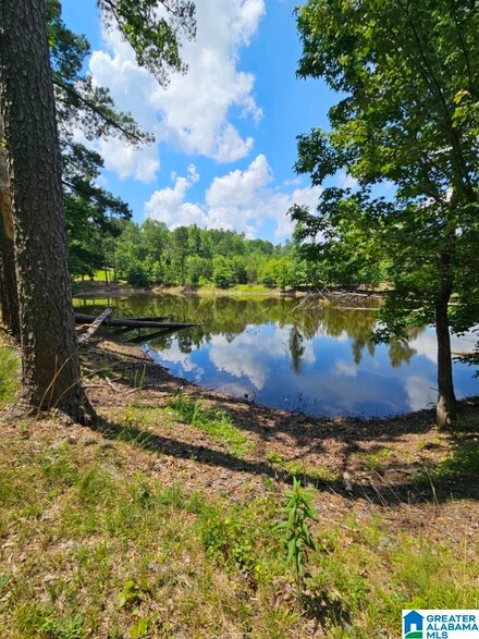 15853 Highway 411, Odenville, AL 35120