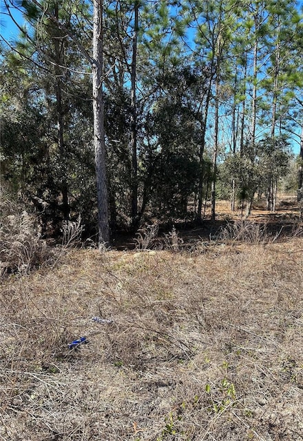 TBD SW Evergreen Ct, Dunnellon, FL 34431