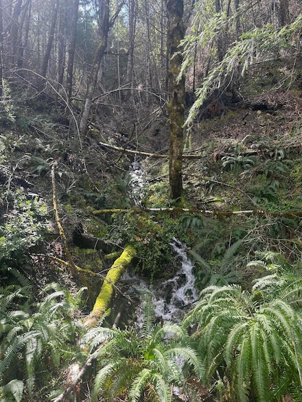 000 Coon Creek Rd, Willow Creek, CA 95573