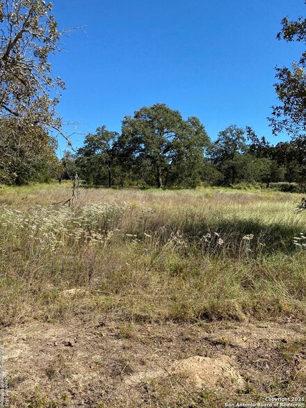 288 Woodland Hills Rd, Poteet, TX 78065