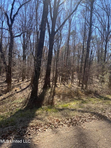 0 Windsor Ln, Raymond, MS 39154
