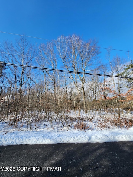Lot D423 Panther Run Rd, Penn Forest Township, PA 18229