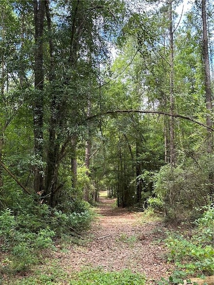 0 Spice Pond Dr Unit 7406281, Eight Mile, AL 36613