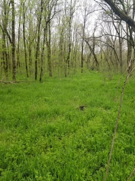 683 Highway 79, Dover, TN 37058