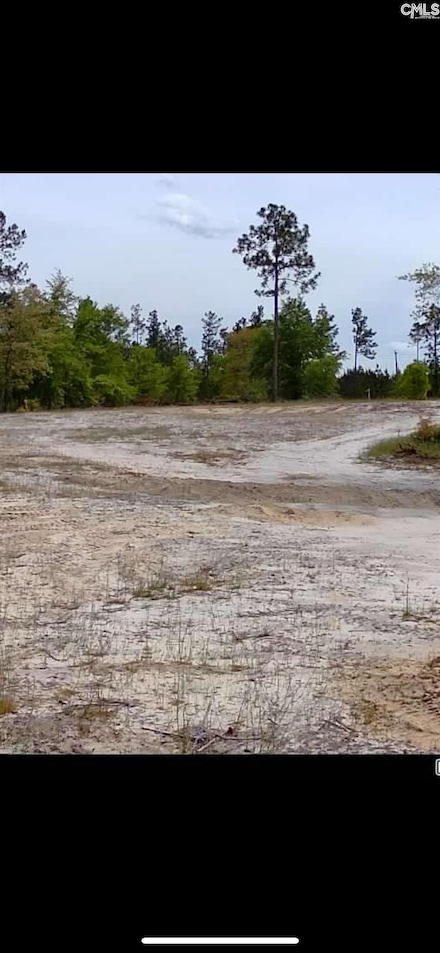 1538 Martin Smith Rd, Leesville, SC 29070