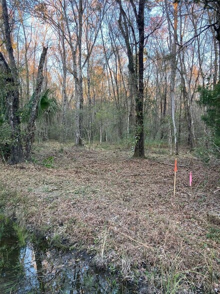 10450 Weatherby Ave, Hastings, FL 32145