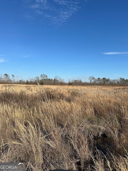 1031 Scott S Store (60 Acres) Rd, Millen, GA 30442