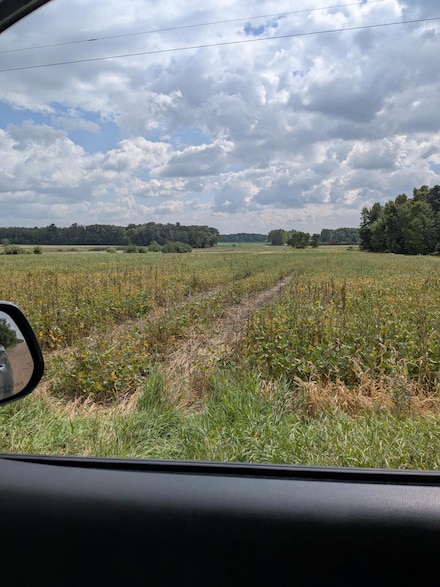 TBD 130th Ave, Brunswick Township, MN 55051