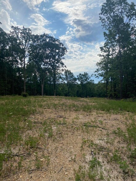 Tbd Grapevine Rd, High Prairie Township, MO 65706