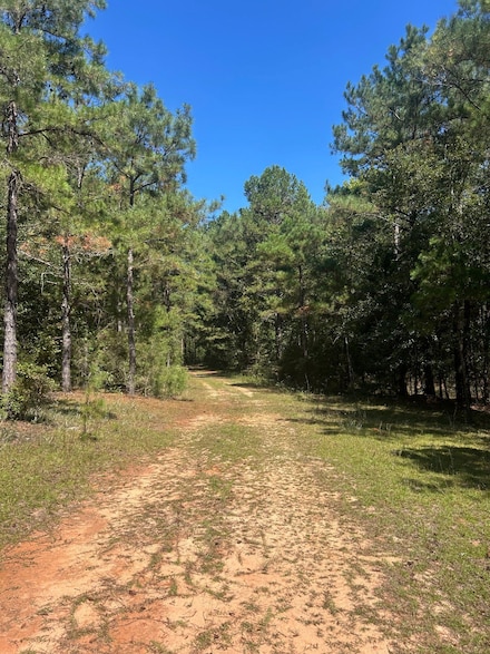 00 County 5522, Troy, AL 36081