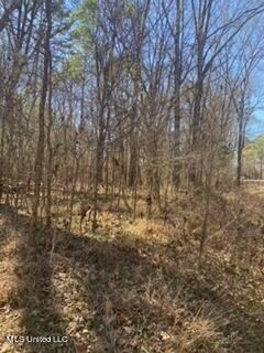 0 Windsor Ln, Raymond, MS 39154