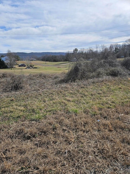 00 Highway 411, Benton, TN 37307