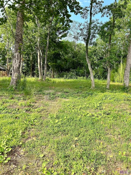 3223 Brightside Dr, Baton Rouge, LA 70820