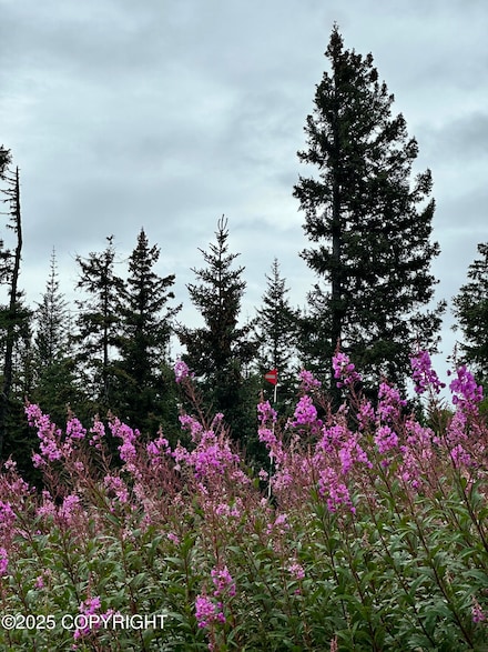 40022 Skookum Rd, Diamond Ridge, AK 99603